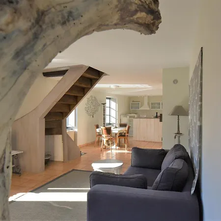 Les Oiseaux De Belcastel, Maison De * Belcastel (Aveyron)